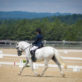 stableview-dressage-august-2020-7668.jpg