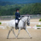 stableview-dressage-august-2020-7676.jpg